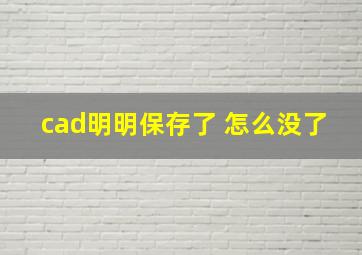 cad明明保存了 怎么没了